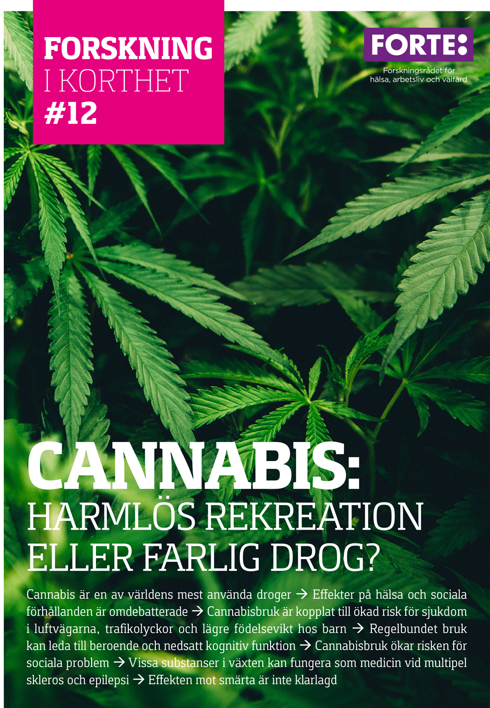 Forskning i korthet: Cannabis – harmlös rekreation eller farlig drog?