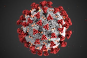 Visualisering av viruset COVID-19