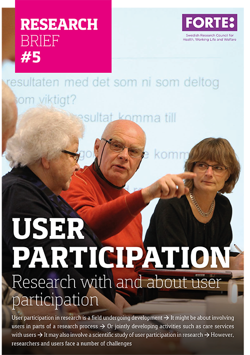 Research brief: User participation