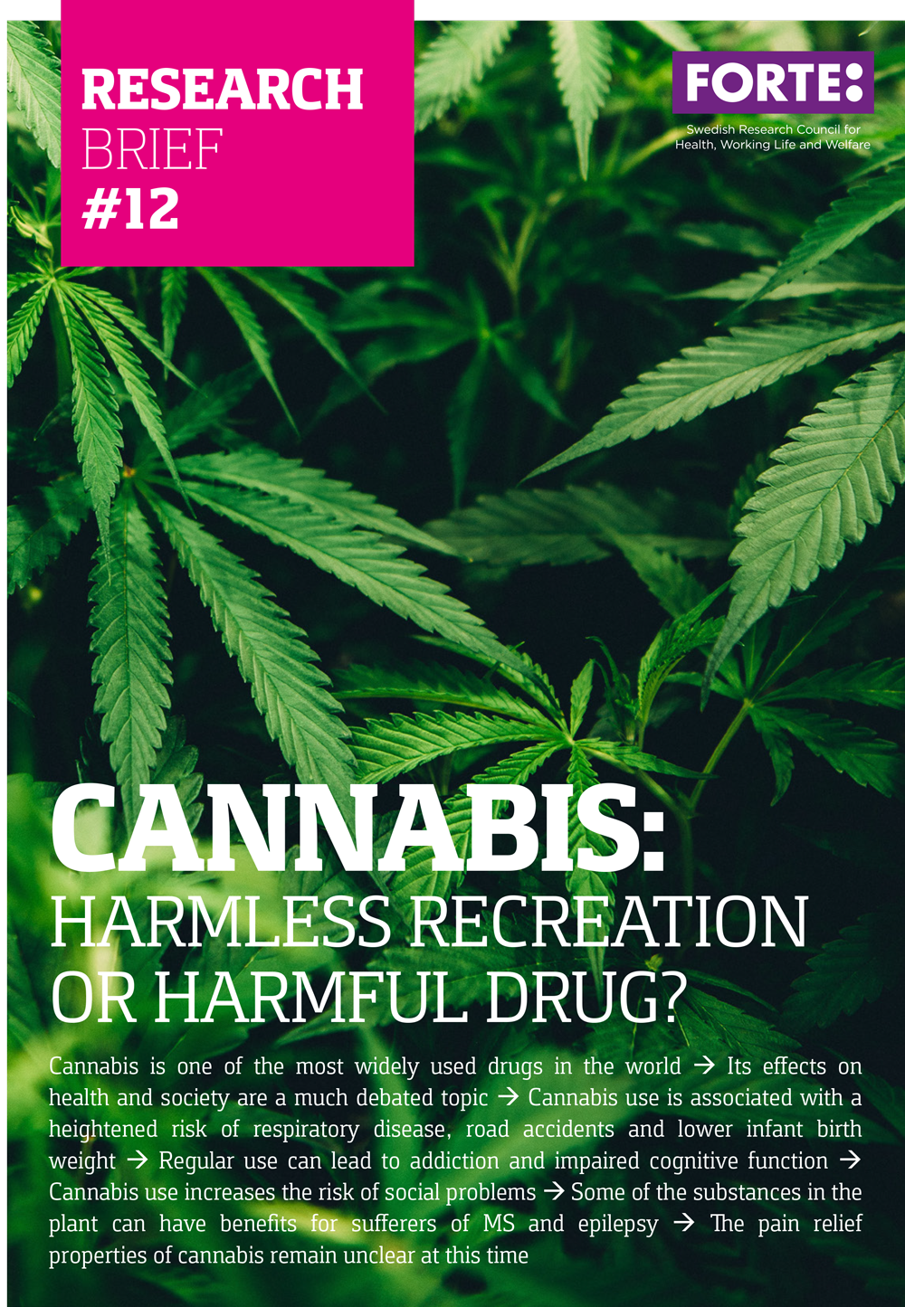 Research brief: Cannabis – harmless recreation or harmful drug?